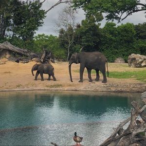 Meet your Posher, Angie